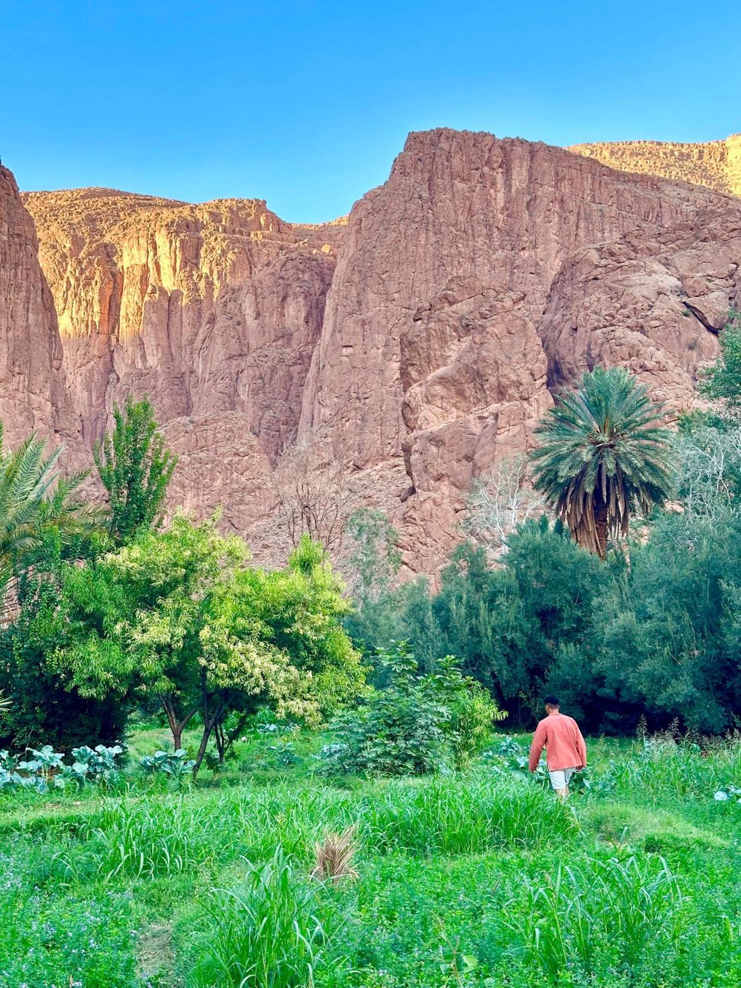 Dar Relax Hostel, Gorges De Todra Tinghir Eksteriør billede